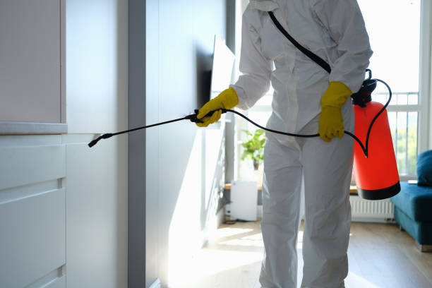 Best Toxic Mold Removal  in South Lebanon, OH